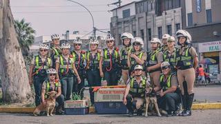 'Escuadrón Orejitas': Conoce dónde y cómo adoptar a las mascotas rescatadas