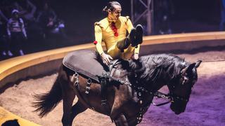 La Tarumba se reinventa con “VITAL”, su show virtual por Fiestas Patrias [VIDEO]