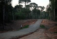 Gobierno trabaja medidas de mitigación ante impacto negativo de carreteras en bosques
