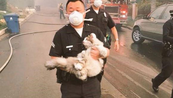 El agente rescató al pequeño animal en medio de las llamas que acechan Los Ángeles. (@LAPD)