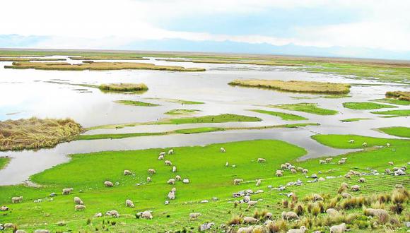 Chinchaycocha es el nombre original del Lago Junín. Es el segundo espejo de agua más importante del país después del Titicaca, señala el columnista.
