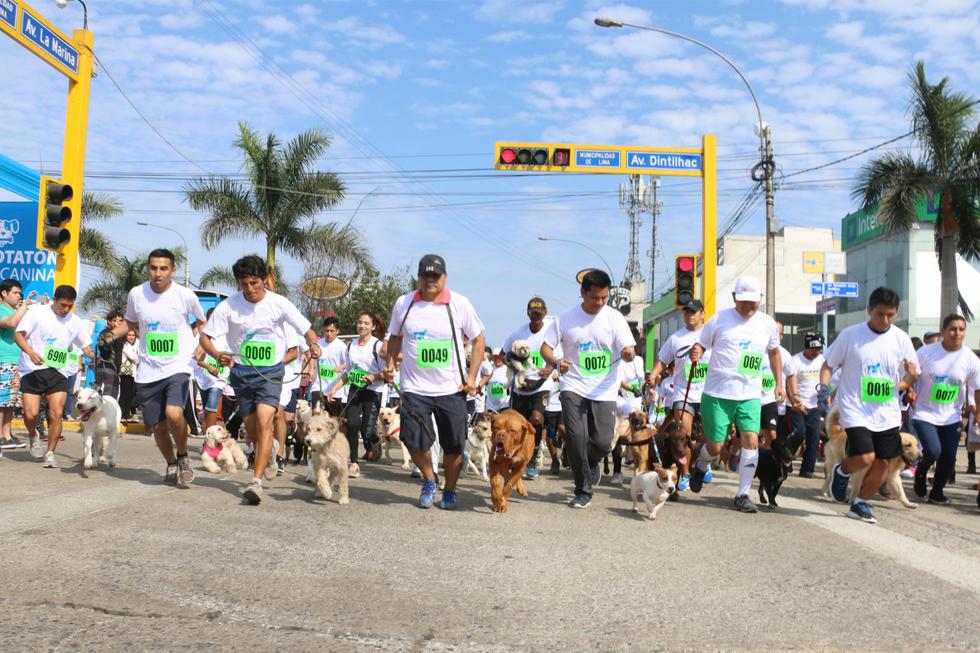 Cerca de 300 perros participaron de la 'Máscotón 2018' organizada por la Municipalidad de San Miguel en el marco de las celebraciones por su 98 aniversario.