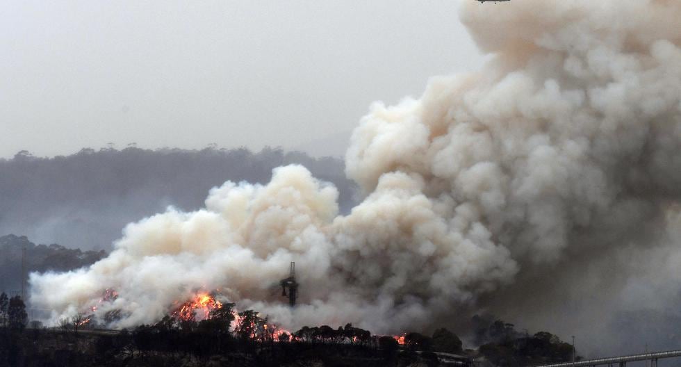 Los incendios forestales han causado 26 muertos desde septiembre, veinte de ellos en Nueva Gales del Sur. (AFP)