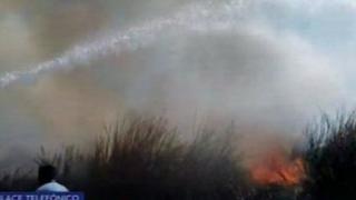 Pisco: incendio forestal se registró en San Andrés | VIDEO