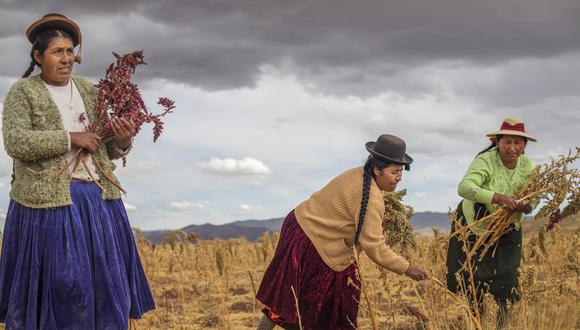 Las mujeres participan en las labores agrícolas así como en las actividades complementarias como la venta de productos. (Foto: GEC)