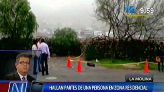 La Molina: Hallaron partes de un cuerpo descuartizado [Video]