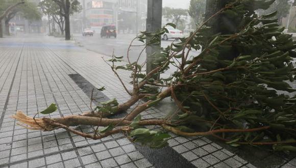 Una foto tomada en el centro de la ciudad de Naha, prefectura de Okinawa, muestra una rama caída, ya que la isla es la primera parte de Japón que se enfrentará al súper tifón Trami. (Foto: AFP)