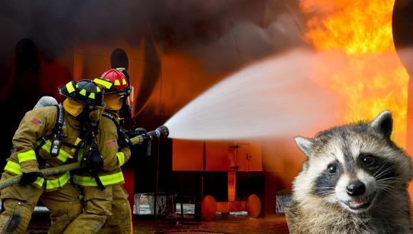 Cundo se trata de ayudar en situaciones de peligro como un incendio, los bomberos no dejan a nadie atrás ni siquiera a los animales. (Foto: Pixabay/Referencial)
