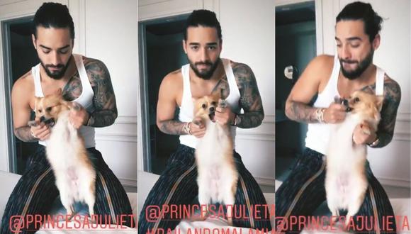 El cantante sorprendió al bailar con su mascota en Instagram. (Foto: Composición/Captura de video)