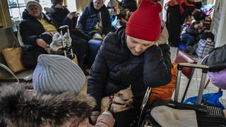 Cada segundo un niño ucraniano se convierte en refugiado a causa de la guerra