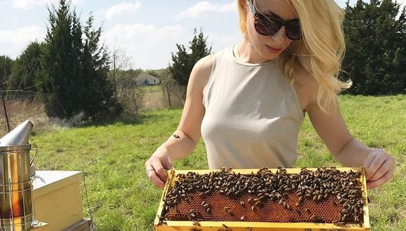 Esta mujer salva a unas abejas que se habían apoderado de una lavadora (Foto: Instagram)