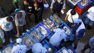 Coronavirus en Perú: Terminal pesquero de Ventanilla fue cerrado y no atenderá hasta el lunes 13