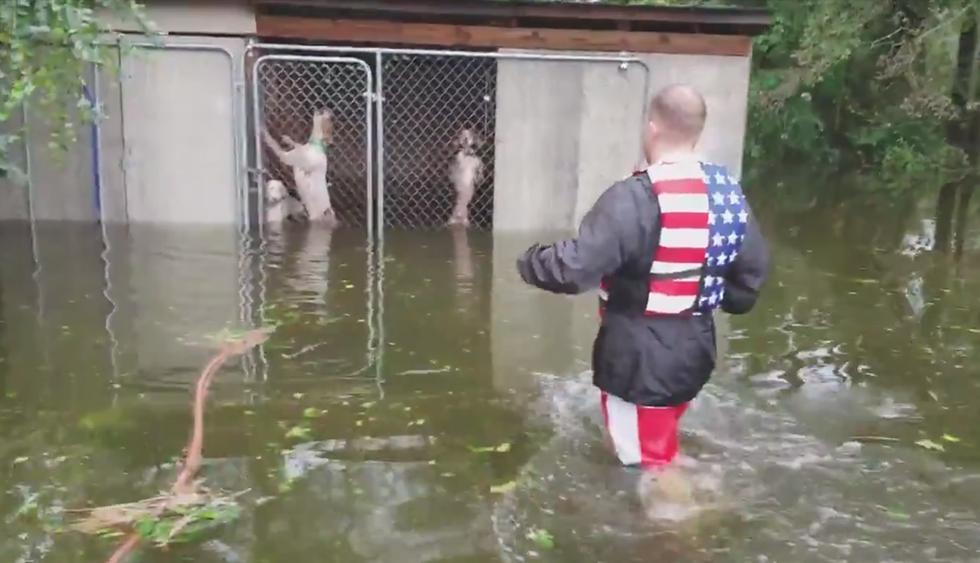 Hombre evita que perros en jaula mueran ahogados por tormenta Florence. (Twitter | @marcusdipaola)