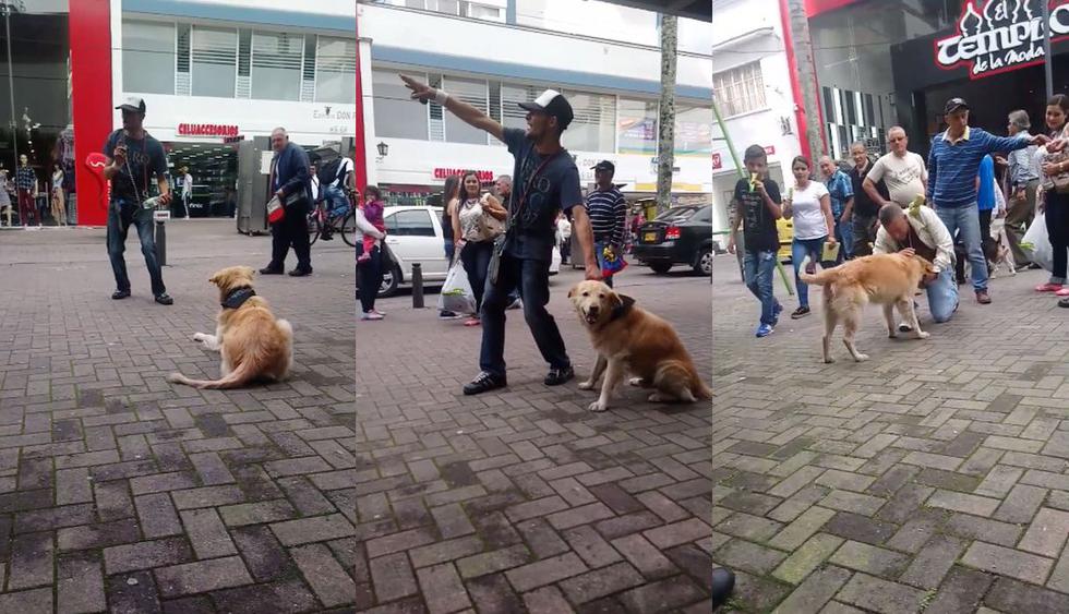 En una calle de Colombia fue filmado un perro que sabe sumar y responde con ladridos. El video se volvió viral en Facebook en pocos días. (Foto: Captura)