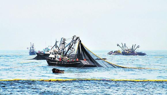En noviembre de 2019, se cerró la temporada de pesca de anchoveta antes de lo normal por estudios incompletos.