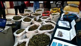 Policía incauta más de 300 kilos de marihuana en La Libertad durante cuarentena 