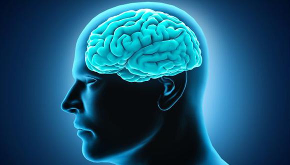 Científicos podrán estudiar mejor el cerebro. (USI)