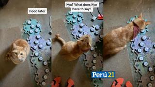 Kyo, el gatito sensación de Tik Tok que se comunica con sus dueños mediante botones de voz