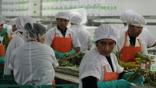 INEI empadronará a más de 2 millones de negocios en el Perú