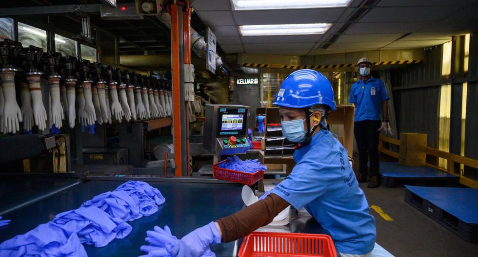 Un trabajador inspecciona guantes desechables en la fábrica Top Glove en Shah Alam, en las afueras de Kuala Lumpur (Malasia), el 26 de agosto de 2020. (Mohd RASFAN / AFP).
