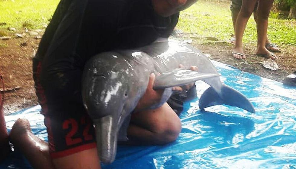 El delfín estaba atrapado en un pozo. (Foto: Facebook/Centro de Rescate Amazónico)