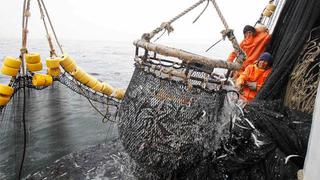 Sector pesca: ¿qué debemos hacer para estar a la par de Chile y Ecuador en exportación?