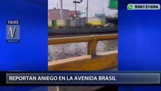 Reportan gran aniego en varias cuadras de la avenida Brasil | VIDEO