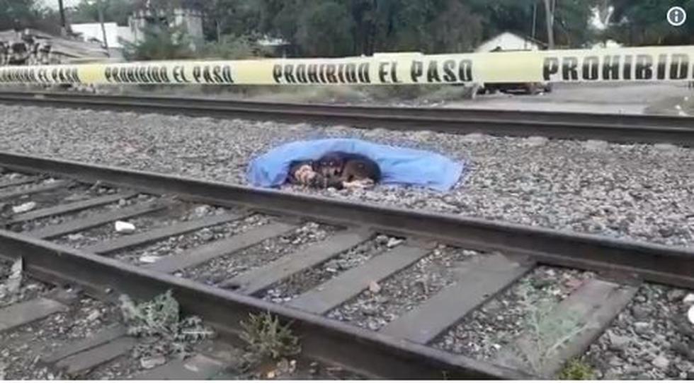 Perro se quedó horas acompañando el cadáver de su dueño atropellado en rieles del tren. (Twitter @yari_trevino)