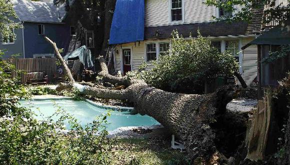 Vientos arrancaron árboles desde su raíz en Maryland. (Reuters)