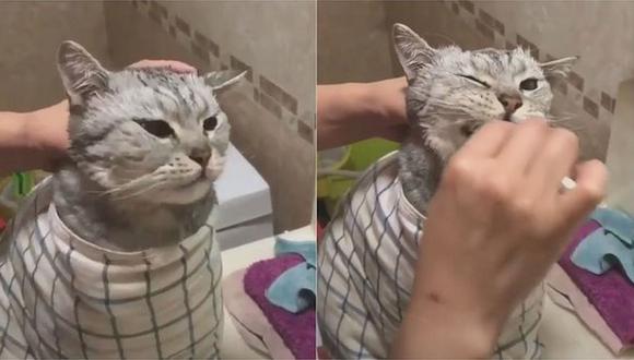 En el  video viral de Facebook vemos a un pequeño gato muy tranquilo mientras su dueña le limpia los dientes. (Foto: Facebook)