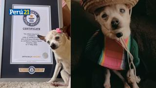 Pebbles: La perrita más longeva del mundo recibe el récord Guiness 