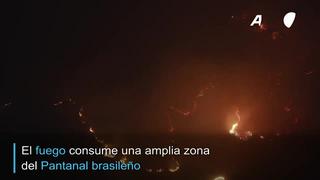 Los desoladores incendios en el Pantanal brasileño