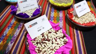 Promueven valor agregado y nuevas presentaciones de las legumbres peruanas