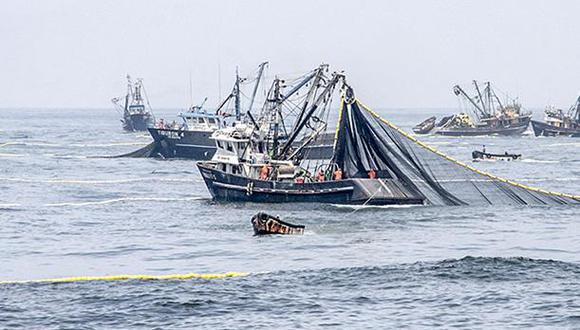 Actividad de pesca de anchoveta en el Perú es una de las mejor gestionadas en el mundo. (Andina)