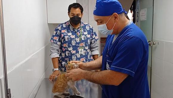 Médicos veterinarios se concentrarán frente a vacunatorio en Ate, para exigir vacunación contra la COVID-19