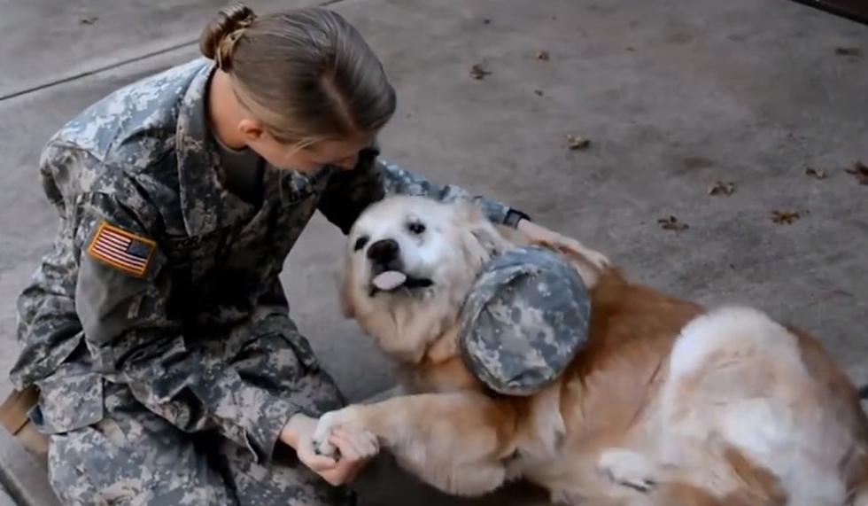 El adorable momento en que una mujer soldado se reencuentra con su perro artrítico y sordo.