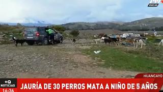 Niño de 5 años murió tras ser atacado por más de 30 perros cerca del río Mantaro