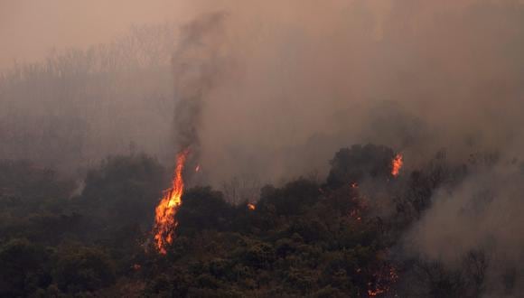 Se muestra un incendio forestal en la Sierra de Mijas, en la provincia de Málaga, el 15 de julio de 2022. (Foto de JORGE GUERRERO / AFP)