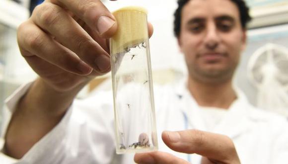 Ya trabajan en la cura del zika. (AFP)