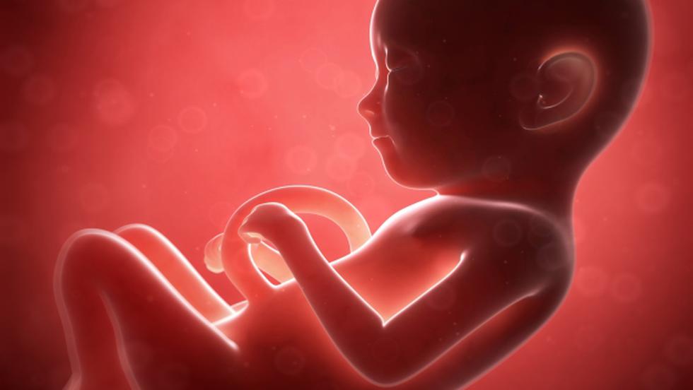 Embriones digitales con muestras de ADN de papá y mamá. (USI)