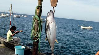 Produce: pesca en pequeña escala provee el 90% del empleo en el sector