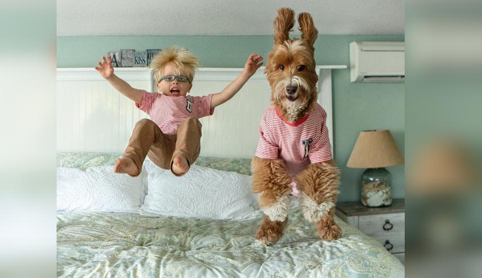 Niño y perro comparten una increíble amistad que desata ola de ternura en las redes sociales. (Crédito: @reagandoodle en Instagram)