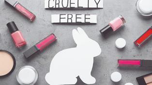 Nuevos avances buscan alternativas libres de crueldad animal en la industria cosmética