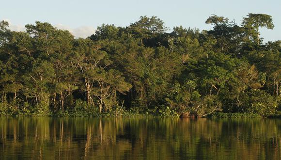 Congreso Empresarial Amazónico propondrá agenda para el desarrollo sostenible e inclusivo de la Amazonía peruana