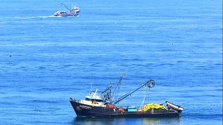 Perú pesca menos anchoveta que Chile por eliminación de régimen especial, dice la SNP