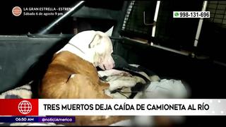Chanchamayo: Perro no se separó de sus dueños que fallecieron tras impactar su camioneta