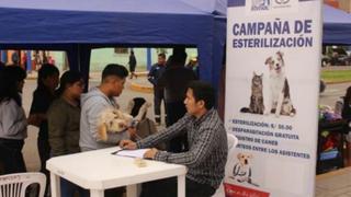 Municipalidad del Rímac vacunó y desparasitó de forma gratuita a más de 300 mascotas
