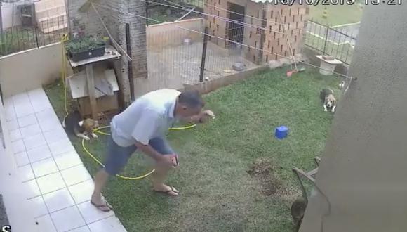 Cesar Schmidt hizo volar por los aires su propio jardín cuando intentaba acabar con unas cucarachas. (YouTube)
