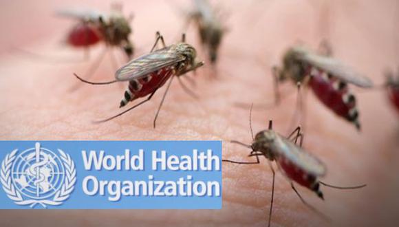El paludismo podría ser erradicado en 8 países latinoamericanos antes de 2020, según OMS. (AFP)