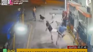 Vecinos y perros impiden que delincuente robe a un trabajador grifo (VIDEO)